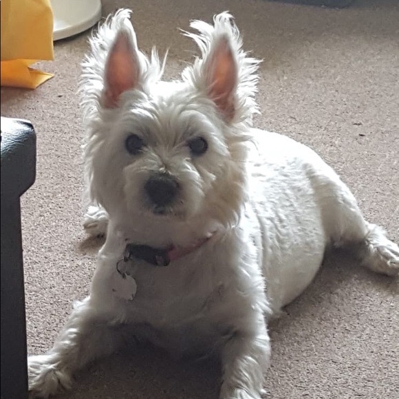 Meet your Posher, Jeannette - Picture 8 of 12